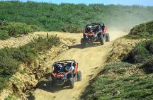 Beach & Desert Premium X3 UTV Tour in Cabo by Cactus Tours Park