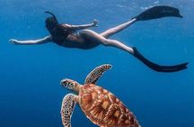 Bali Blue Lagoon and Tanjung Jepun Snorkeling with Transport 