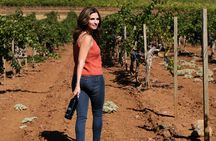 8-Hour Exclusive Wine Tour Experience for up to 6 Guests / Napa-Sonoma