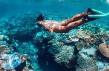 All Inclusive : Bali Blue Lagoon Snorkeling, Lunch, and Transport