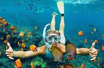 All Inclusive : Bali Blue Lagoon Snorkeling, Lunch, and Transport