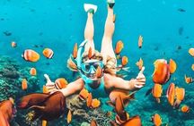 Bali Blue Lagoon Snorkeling - Lunch and Transport All Inclusive