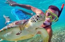 Bali : Blue Lagoon Snorkeling combine with Bali Swing in Ubud