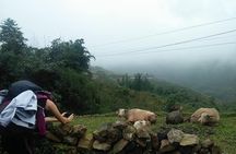 3-Day Trek in Amazing Muong Hoa Valley & ethnic Homestay 
