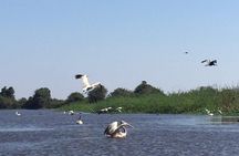 Private Tour Prek Toal Bird Sanctuary Off Beaten Track 