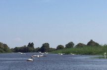 Private Tour Prek Toal Bird Sanctuary Off Beaten Track 
