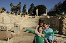 Full-Day Alexandria Discovery Tour from Alexandria Port