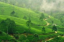 Nuwara Eliya & Kandy | 2 Days Tour
