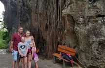 Small Group Cruiseship Trip to visit Golden bridge & Da Nang City from The Ports