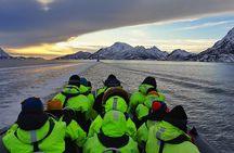 Trollfjord and Sea Eagle Safari Tour from Svolaer