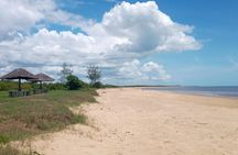 3 Days Safari to Saadani National Park + Boat Safari from Dar es Salaam