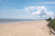 3 Days Safari to Saadani National Park + Boat Safari from Dar es Salaam