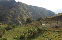 Uluguru Mountains Hike to Bondwa Peak 2 Days 1 Night Camping