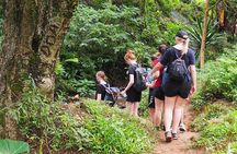 Uluguru Mountains Hike to Bondwa Peak 2 Days 1 Night Camping