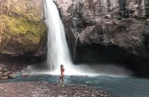 Bali Ubud private Tour with Ubud Bali Driver - FREE WIFI