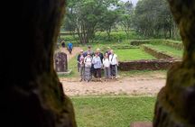 Fullday Private Tour to Visit My Son Sanctuary- Marble Mountain- Monkey Mountain