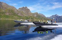 Trollfjord and Sea Eagle Safari Tour from Svolaer