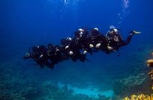 Day Diving in Hurghada by Boat