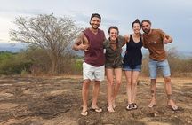 Minneriya National Park Private Safari Tour