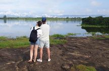 Minneriya National Park Private Safari Tour