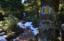 Hiking in Parnitha National Park from Athens