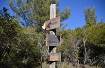 Hiking in Parnitha National Park from Athens