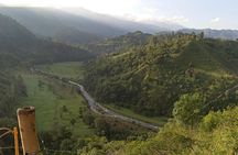 the acacias coffe farm