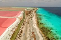 Your Guide Private Tour (North and South) Customize