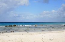 Your Guide Private Tour (North and South) Customize