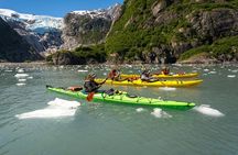 Kenai Fjords (Grand Day) Wildlife Cruise & Glacier Kayak Combo