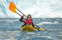Kenai Fjords (Grand Day) Wildlife Cruise & Glacier Kayak Combo