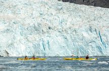 Kenai Fjords (Grand Day) Wildlife Cruise & Glacier Kayak Combo