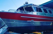 Kenai Fjords (Grand Day) Wildlife Cruise & Glacier Kayak Combo
