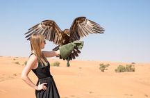 Dubai Evening Desert Safari with ATV Quad Bike & Dinner