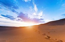 Sunrise Desert Safari