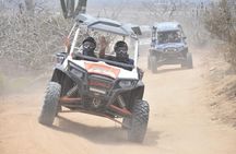 Razors in Cabo San Lucas