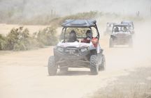 Razors in Cabo San Lucas