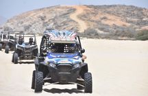 Razors in Cabo San Lucas