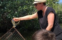 Private Fishing Adventure in the Mangroves