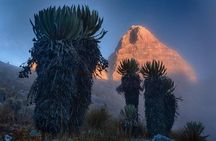 High Mountain Trekking: Sierra Nevada del Cocuy.