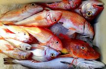 Capri Fishing Excursion with Snorkeling and Lunch from Sorrento