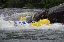 [Rafting Ayung River White Water] A thrilling natural roller coaster down the river with a rubber boat / For beginners and children / Hotel pick-up and meals included