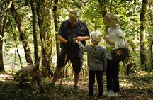 Truffle Picking Experience with 3 Course Meal in Chianti hills