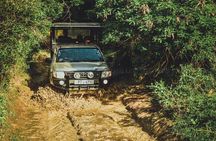 Yala Full day Leopard Safari Tour with Picnic Lunch