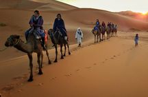 Dubai Evening Desert Safari with ATV Quad Bike & Dinner