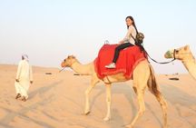 Dubai Evening Desert Safari - Private car