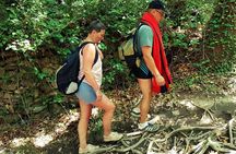 Excursion to Richtis Gorge & Waterfall