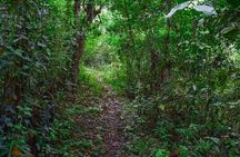 Wet forest tour - Machalilla National Park