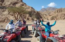 Private Safari Tour in Luxor