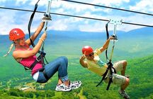 Punta cana: Half-Day Zipline Tour